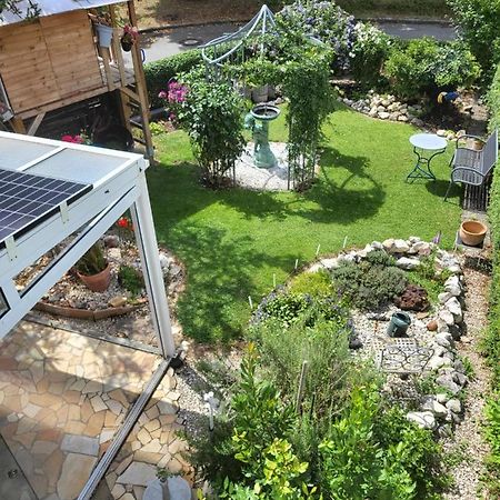 Ferienwohnung Fischbach FDH المظهر الخارجي الصورة