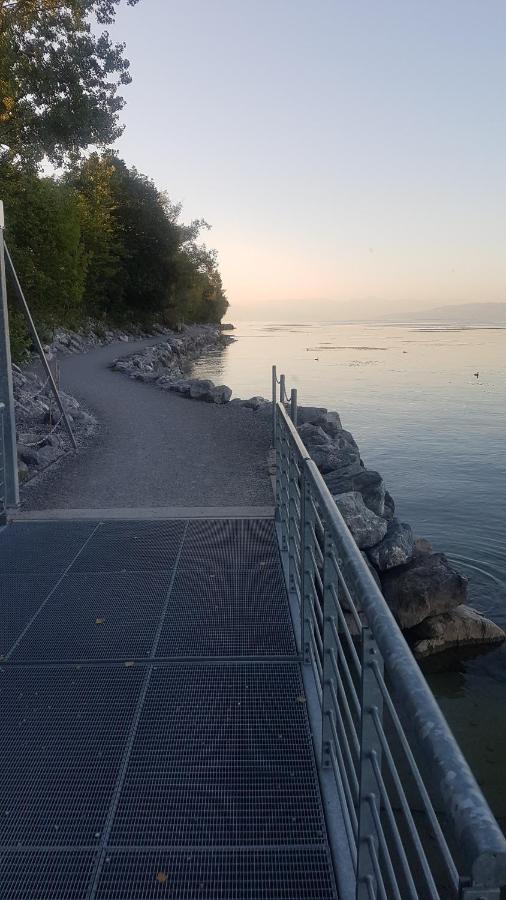 Ferienwohnung Fischbach FDH المظهر الخارجي الصورة