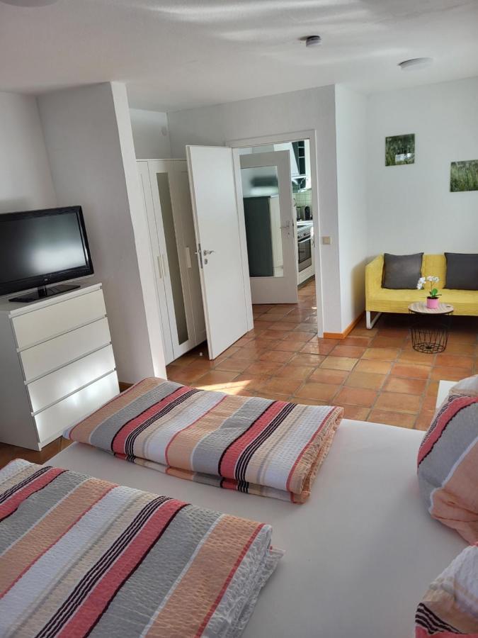 Ferienwohnung Fischbach FDH المظهر الخارجي الصورة