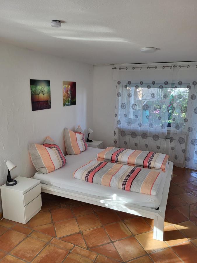 Ferienwohnung Fischbach FDH المظهر الخارجي الصورة