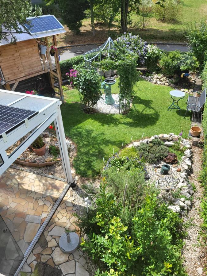 Ferienwohnung Fischbach FDH المظهر الخارجي الصورة